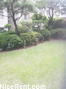 apartment photo